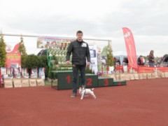 Częstochowa 2011 127